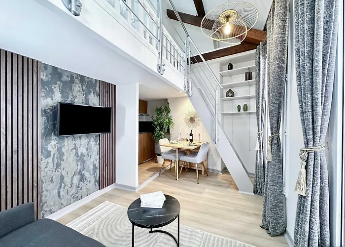 Stylish Duplex In Front Of Buttes-Chaumont